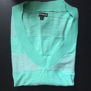 Turquoise Striped Express V-Neck Sweater